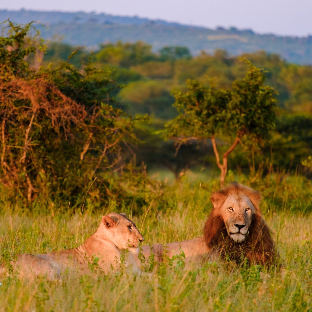 Southern Africa (1) (1)